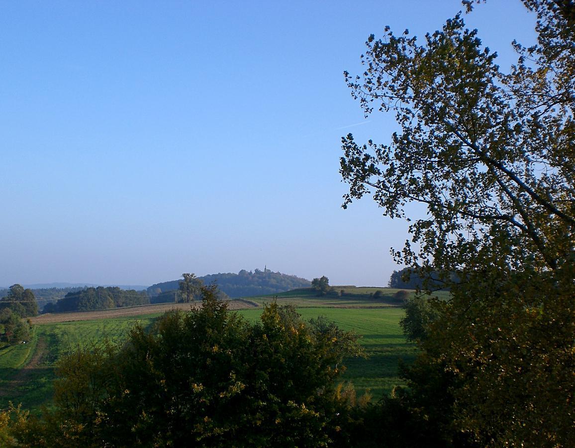 Hotel-Gasthof "Zum Bartl" Sulzbach-Rosenberg Exteriör bild
